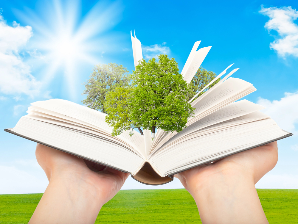 ICF releases 2025 updates to their Core Competencies